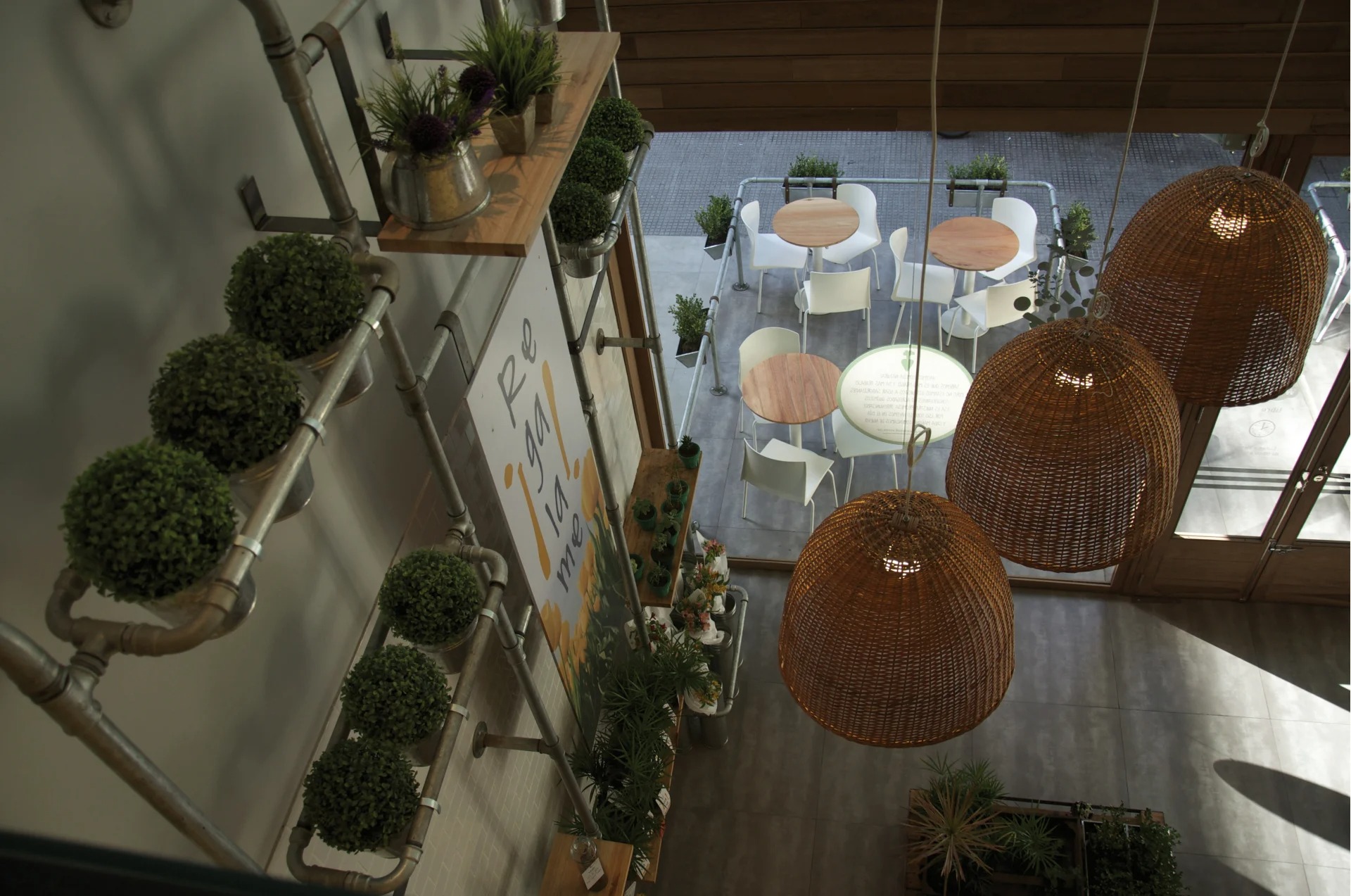 Green Eat overhead view of plant pipe shelving and rattan pendant lights